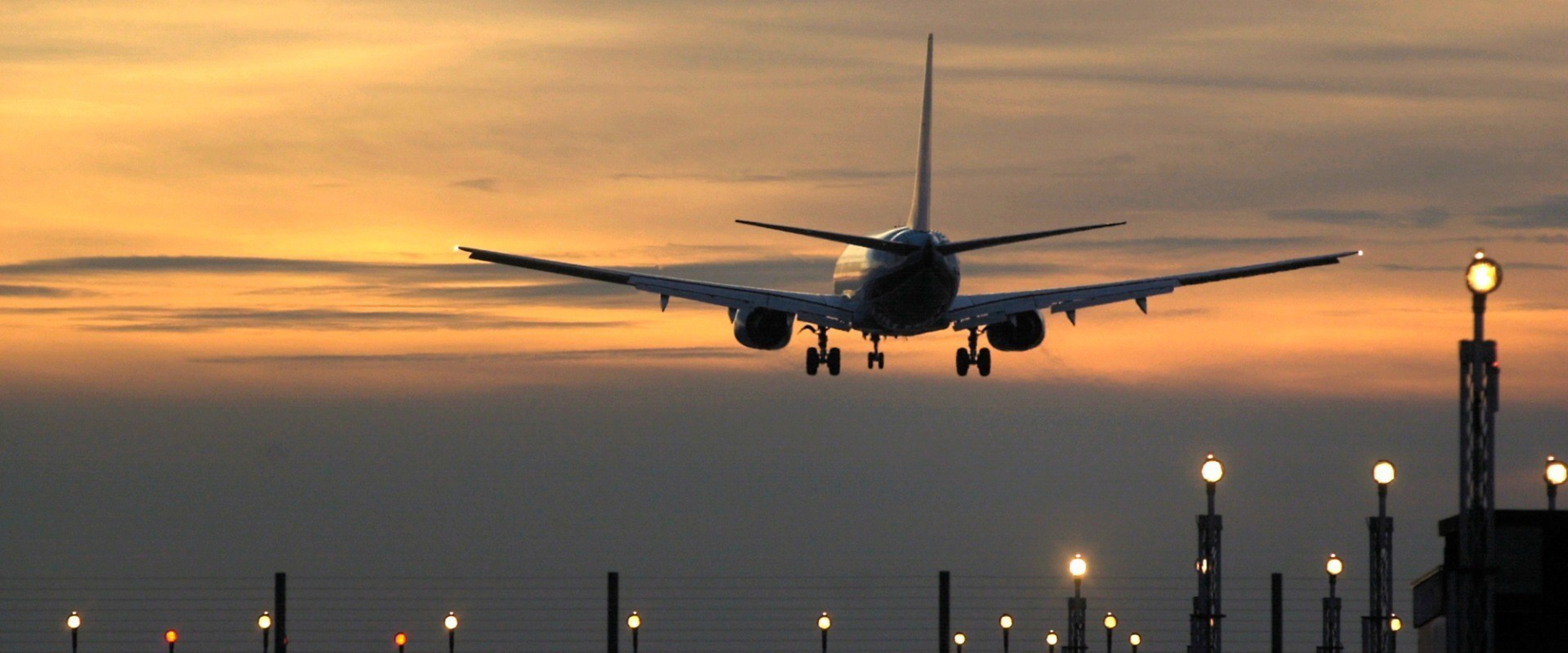 Fly i solnedgang
